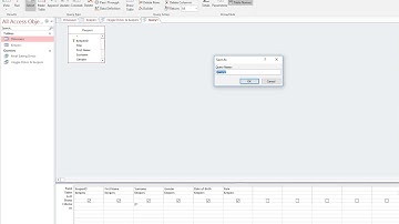 4. Creating a Wildcard Query