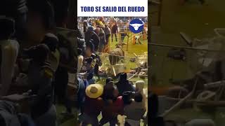 Toro de salió del Ruedo #bloqueinformativo #infórmate