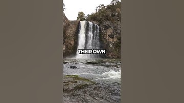 From Chaos to Courage: Finding Strength in Life