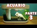 ¡ACUARIO XIAOMI Parte 3. Camarones, plantas y nuevo alimento vivo!