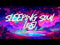 Sleeping soul  tenno   lofi