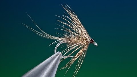 Fly Tying a March brown soft hackle with Barry Ord Clarke