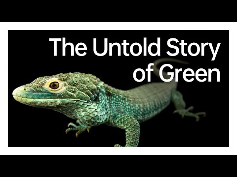 Endangered Green | OPPO x National Geographic