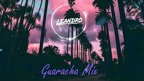 Guaracha Mix 2021 | Mixed by LeAndro