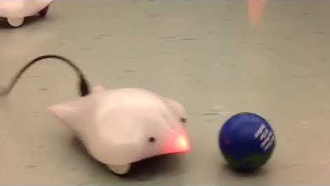 Finch Soccer - BirdBrain Technologies