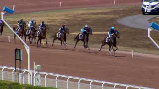 Vidéo de la course PMU PRIX DE CHATOU