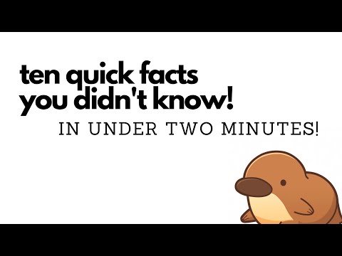 Ten Quick Facts In Under Two Minutes!