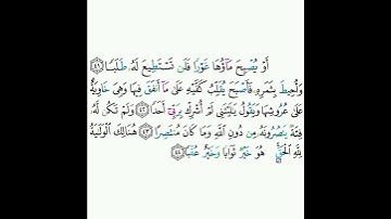18 - سورة الكهف ٤١-٤٤ - عبدالرحمن السديس