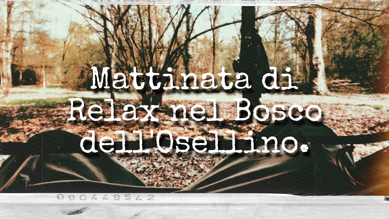 Trekking - Mattinata di Relax nel Bosco dell'Osellino.