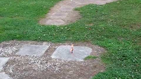 BLADE mCPX BL TWO CRASHES