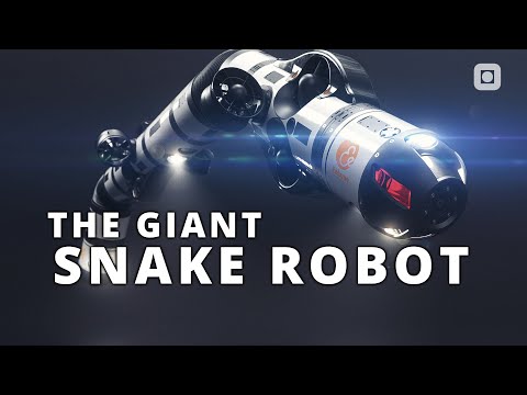 The Giant Snake Robot - Eelume Underwater Robot | NTNU