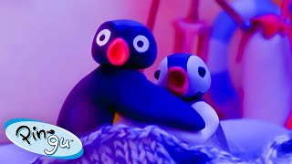 Pingu And Pinga Go Camping! 🐧 | Pingu - Official Channel | Cartoons For Kids