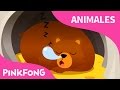 Hibernación | Animales | Pinkfong Canciones Infantiles