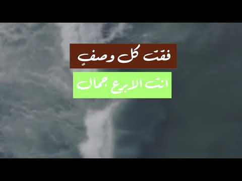 ترنيمة فقت كل وصف