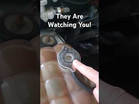 They Are Monitoring