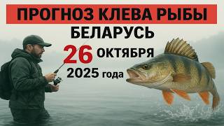 видео: ПРОГНОЗ КЛЁВА в Беларусь на 26 октября 2025 года. Бросай все и на рыбалку! картинка: ПРОГНОЗ КЛЁВА в Беларусь на 26 октября 2025 года. Бросай все и на рыбалку!