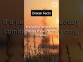 If A Person Continuously Shows In Your Dreams Facts Psychology Facts Dream Dailyfacts 