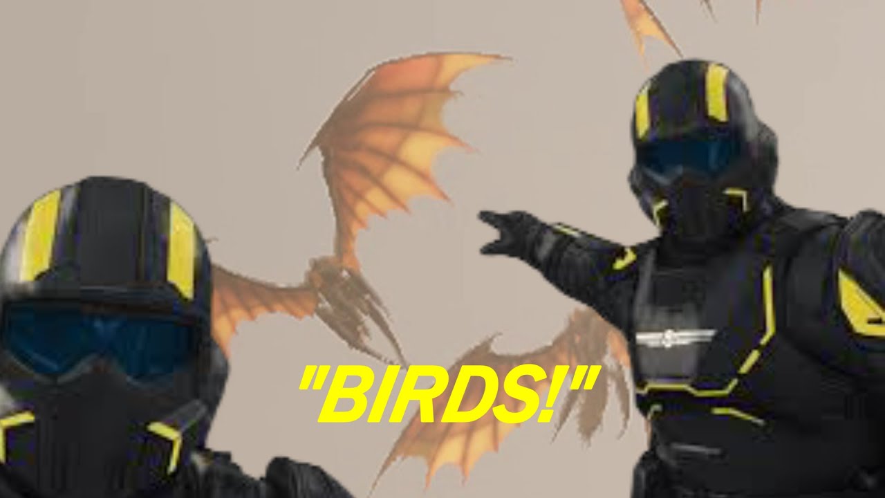 *BIRDS!* - Helldivers 2 Funny Moments