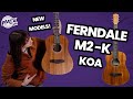 Ferndale M2-Koa the Best Travel Size Acoustic For Beginners?! - All New Ferndale Models!