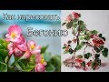 Как рисовать урок Бегония How to draw Begonia painting tutorial 베고니아 그림 그리기