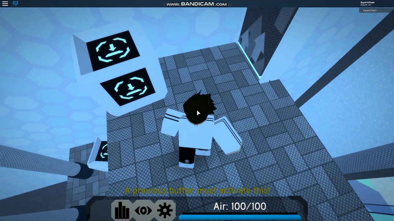 The crazy button roblox