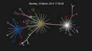 Visualize genotype diversity in a genetic algorithm for the TSP problem