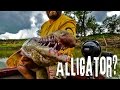 GOT TEETH?? Alligator Gar: Trinity River, Texas - Northwoods Angling