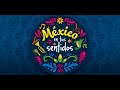 MEXICO EN TUS SENTIDOS - TESTIMONIOS REALES