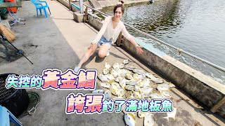 【台客去釣魚】秘密武器加蝦仁黃金鯧一直雙弓釣到滿地板魚沒時間收魚進魚簍 feat.369海釣場