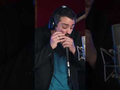 Fue amor | Franco Luciani @HistoriasdeBolsillo #shorts #fitopaez #harmonica