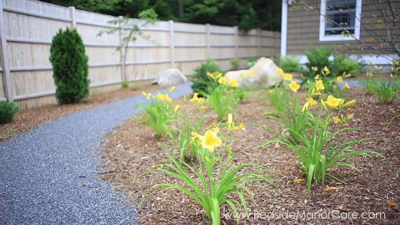 Bedside Manor YouTube