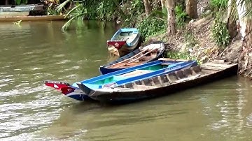 Mùa nước nổi năm nay ở Lương Phi đồng lúa chín cũng bị ngập - Tri Tôn, An Giang 16/09/2018