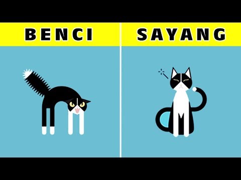 Video: Mengapa Kucing Suka Valerian