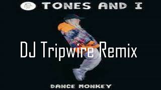 "Dance Monkey" - Tones And I - DJ Tripwire Remix
