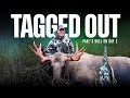 Tagged Out (An Excerpt) - Paul's Bull on Day 2 of the Hunt