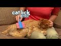 Cat lick stick as seen on tv commercial cat lick stick as seen on tv cat groomer as seen on tv blog