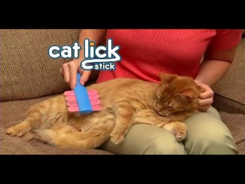 Lick stick cat