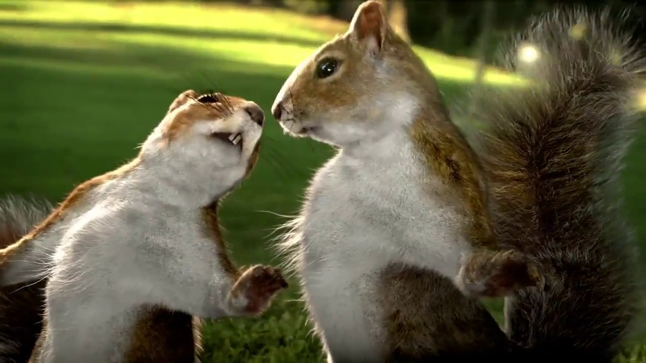 Kate nahi katate ye din ye raat  Kit Kat old squirrel ad  Meri Feelings Mera Dard