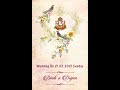 BINDI & DRIPEN : WEDDING