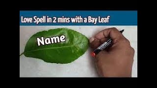 Powerful Love Spell with a Bay Leaf works immediately in 2 mins - Spells for love, lovers spell screenshot 4