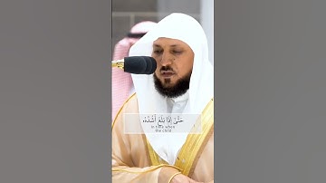 ووصينا الإنسان بوالديه/تلاوة جميلة ماهر المعيقلي