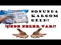 Download Sonunda Kargom Geldi! İçinde Neler Var? Sonunda Kargom Geldi! İçinde Neler Var?