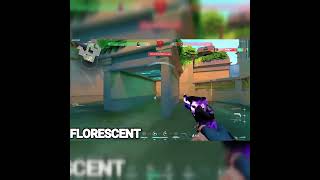 Primmie X Florescent: Best aimers in VALORANT PART 02