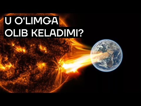 Video: Kimdir o'tmishga qochib ketdi, kapalakni ezdi?