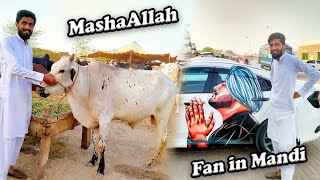 Qurbani Ky Liya Janwar Dekhanay Mandi Gy 😍|Mandi vlog