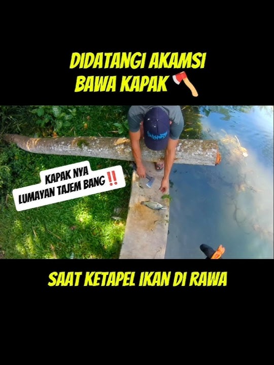 DIDATANGI AKAMSI BAWA KAPAK SAAT KETAPEL IKAN #slingshotfishing #ketapelikan #shortvideo #viralvideo