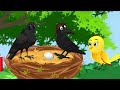 Da Meegi Kor Meena Chirya Pashto Cartoon Kahani 2026 Pashto Story 