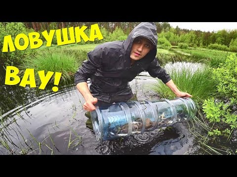 Видео: Улов на сребърна платика