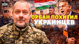 ГРОМКИЙ СКАНДАЛ: украинцев ПАКУЮТ в Венгрии! Орбан ВЫШЕЛ ИЗ СЕБЯ: дикий приказ ИЗГОЯ / Сазонов