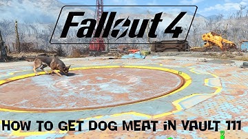 Fallout 4|How To Get Dog Meat In Vault 111